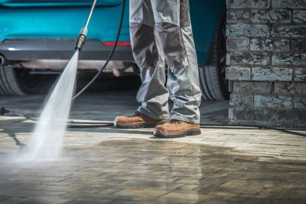Best Spring Cleaning  in La Presa, CA