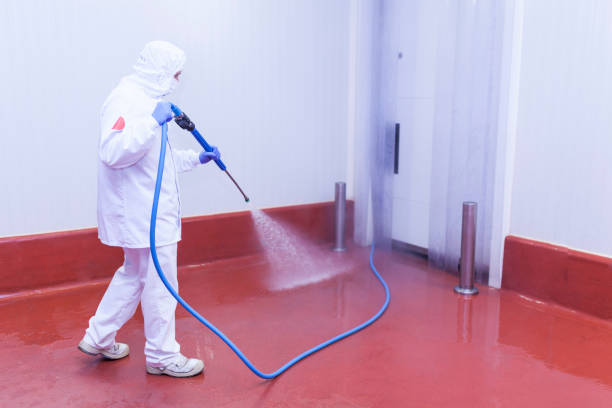 Professional Pressure Washing in La Presa, CA