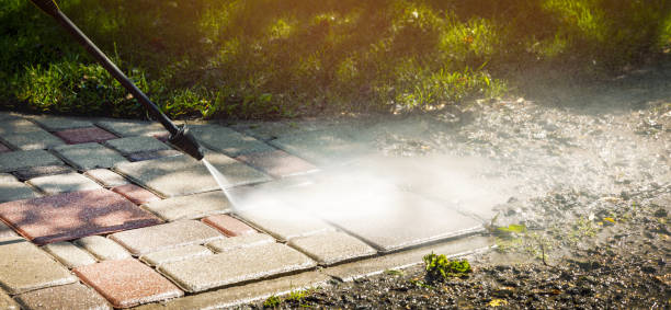 Best Driveway Pressure Washing  in La Presa, CA