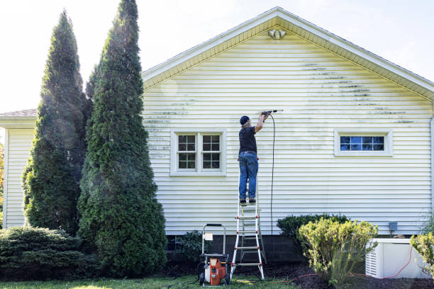 Best Patio and Deck Pressure Washing  in La Presa, CA